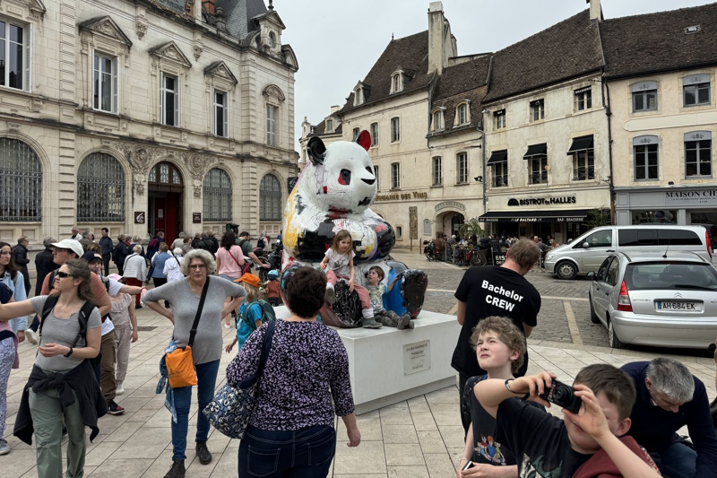 Photo d'ecursion à Beaune