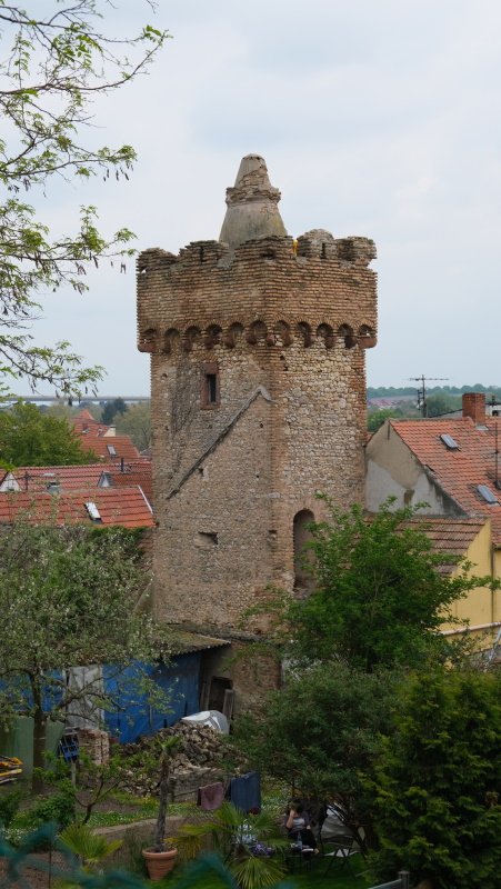 Tour de Pfeddersheim